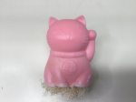 Good Luck Cat