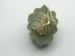 Leaf - Image 2
