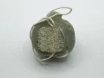 Pumpkin - Image 2